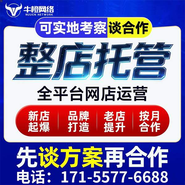 大庆电商代运营