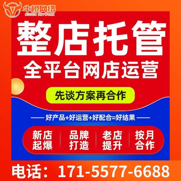大庆电商代运营