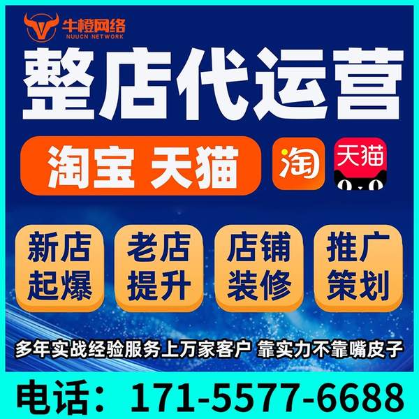 大庆电商代运营
