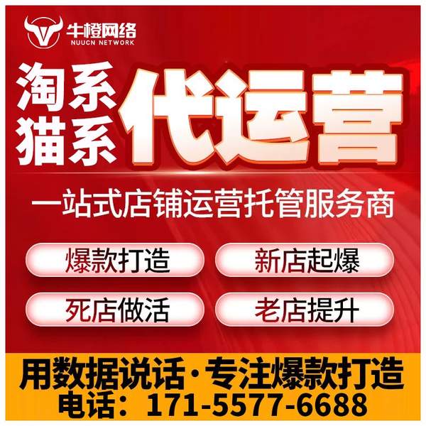 大庆电商代运营